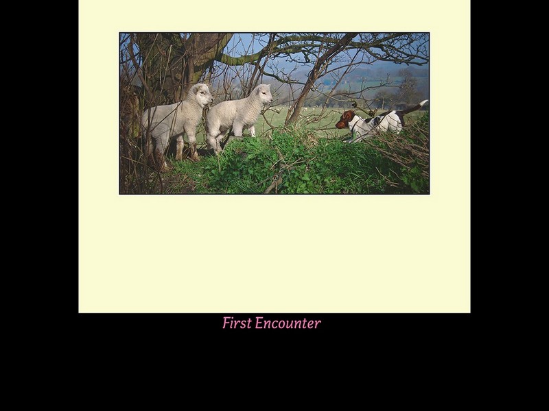 01-JD First Encounter